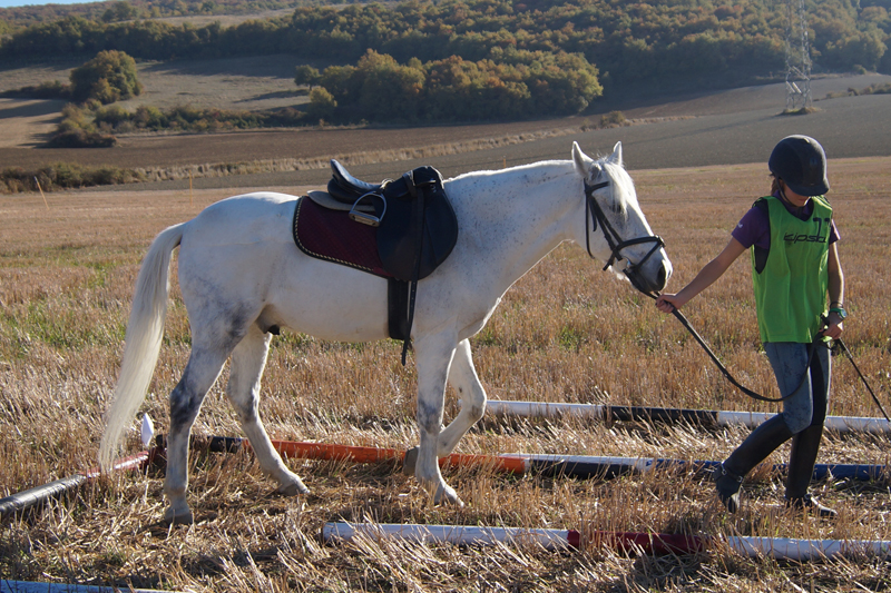 El CH Zolina acogió el Campeonato Navarro de TREC
